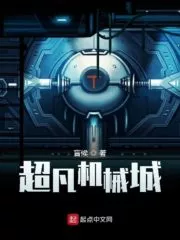 Extraordinary Mechanical City Cover Image