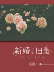 New Marriage and Old Love Cover Image