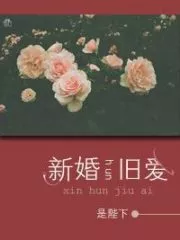 New Marriage and Old Love Cover Image