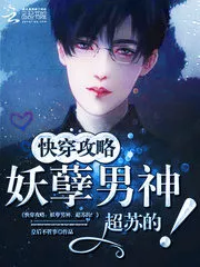 The Strategy of Walkthrough Cover Image