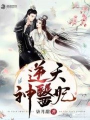 Heaven Defying Medical Consort Cover Image
