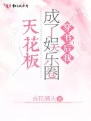 My Lift As A Top Star In A Book Cover Image