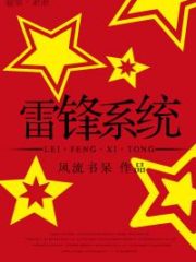 Lei Feng System Cover Image