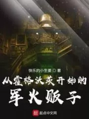 Arms Dealers From Hogwarts Cover Image