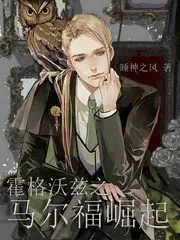 The Rise of Malfoy at Hogwarts Cover Image
