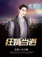 Mad Son-in-law Cover Image