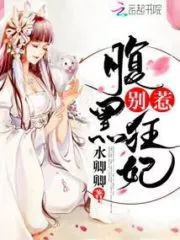 Don’t Mess with the Dark Princess Cover Image