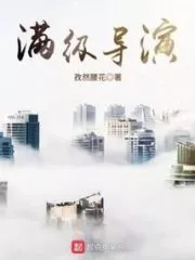 Full-level Director Cover Image
