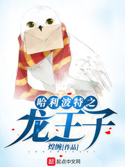 Harry Potter and the Dragon Prince Cover Image