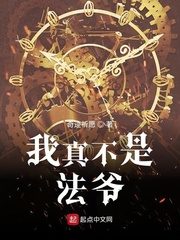 I Am Not A Mage Lord Cover Image