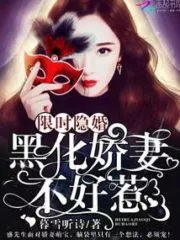 Limited Time Hidden Marriage Cover Image