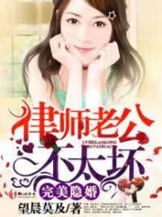 The Perfect Hidden Marriage Cover Image