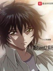 Gundam Seed System Cover Image