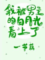 I Was Attracted By the Male Lead Bai Yueguang Cover Image