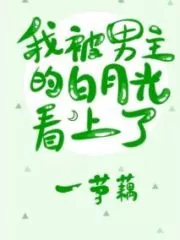 I Was Attracted By the Male Lead Bai Yueguang Cover Image