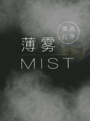 Mist Cover Image
