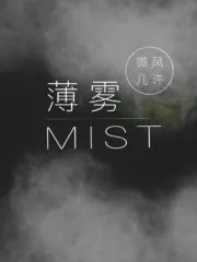 Mist Cover Image