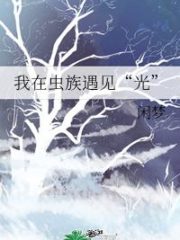 I Met “Light” In the Zerg Cover Image