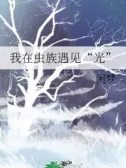 I Met “Light” In the Zerg Cover Image