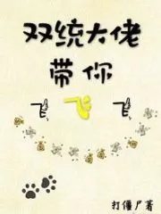 Shuangtong Boss Takes You To Fly Cover Image