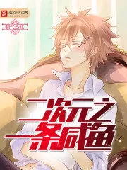A Salted Fish In the Second Element Cover Image