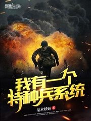 I Have a Special Forces System Cover Image
