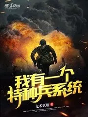 I Have a Special Forces System Cover Image