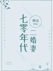 Second Marriage in the 1970s Cover Image