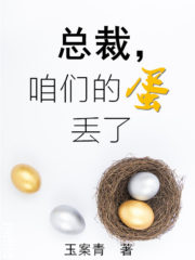 President, Our Egg Is Lost Cover Image