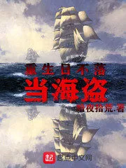 Reborn As a Pirate Cover Image
