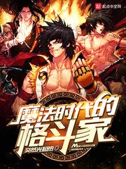 Fighter In the Age of Magic Cover Image