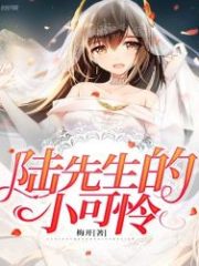 Mr. Lu’s Little Pitiful Cover Image