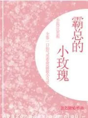 President Ba’s Little Rose Cover Image
