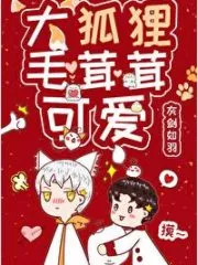 Big Fox Furry and Cute Cover Image