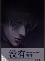 There Is No Afterlife Cover Image