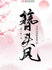 Hairpin Phoenix Cover Image