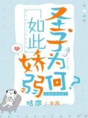 Why is the Holy Son So Delicate? Cover Image
