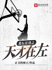 Basketball Fanatic: Genius Is on the Left Cover Image