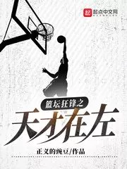 Basketball Fanatic: Genius Is on the Left Cover Image