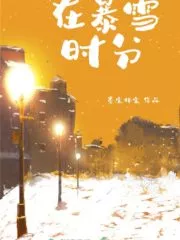 During the Snowstorm Cover Image