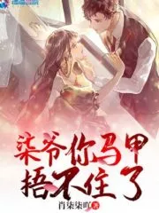 Mr. Qi, Your Cover At Risk Cover Image