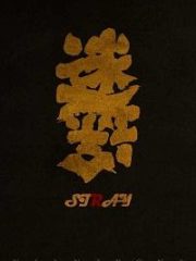 Stray Cover Image