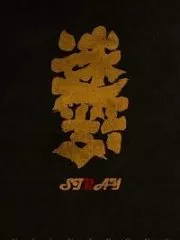 Stray Cover Image