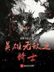 Heroes of the Invincible Knight Cover Image