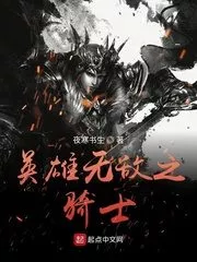 Heroes of the Invincible Knight Cover Image