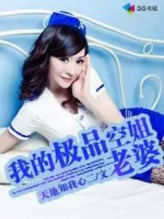 My Best Stewardess Wife Cover Image