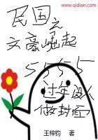 The Rise of the Writers of the Republic of China Cover Image