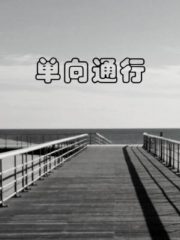 One-way Passage Cover Image