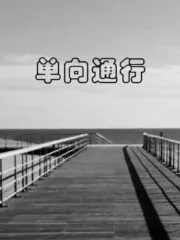 One-way Passage Cover Image