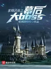 The Big Boss Behind Hogwarts Cover Image